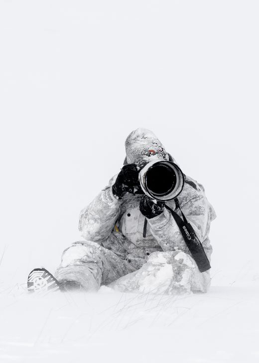 Joshua Holko Bio Photograph