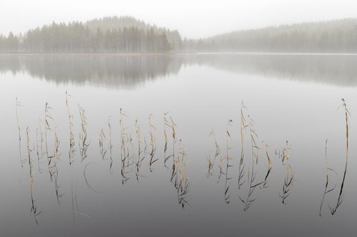 Finland Winter Photography by Joshua Holko finlandwinter-1-holko-2.jpg